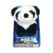 imageUrl_5