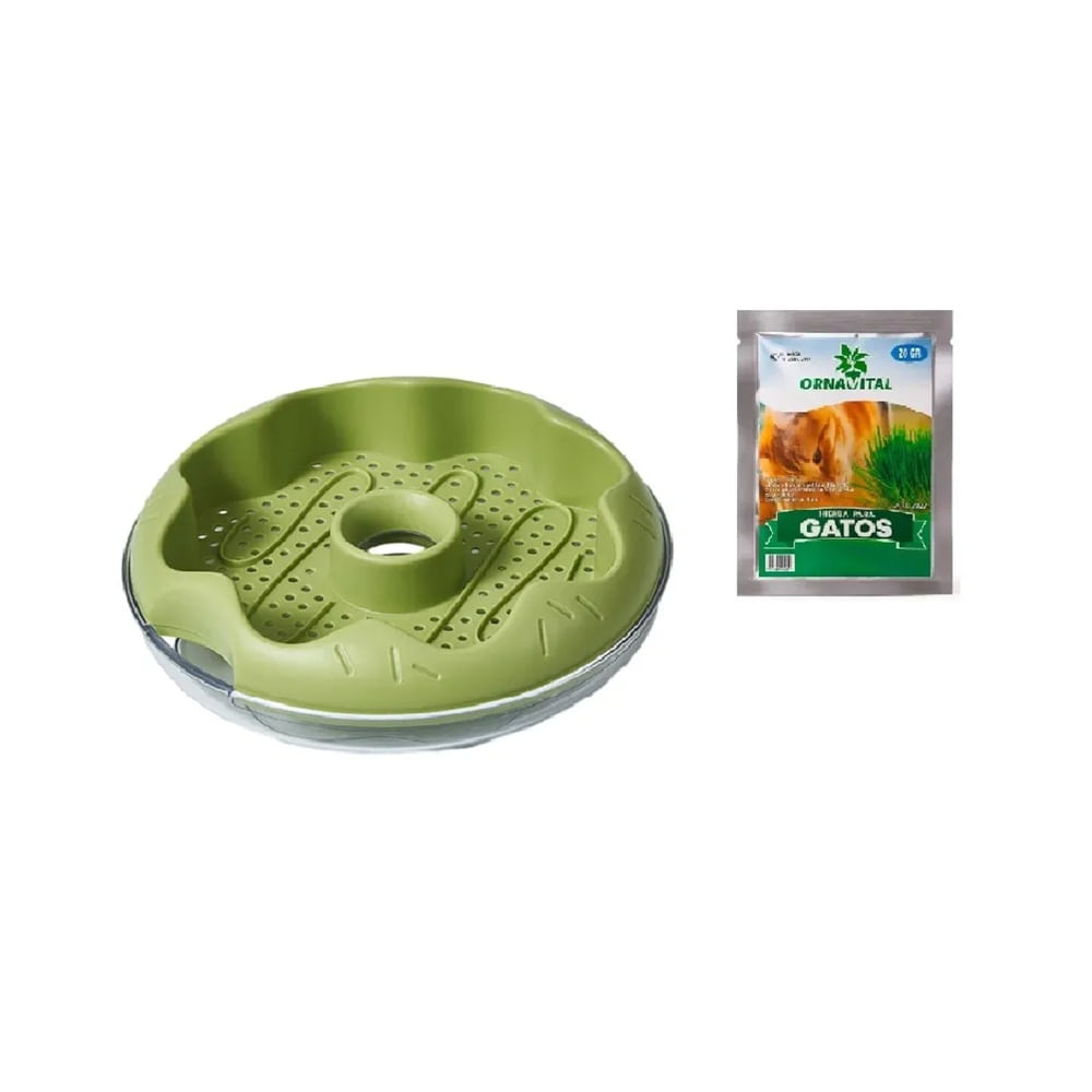 Plato Para Cultivo De Hierba Gatera Verde con Semillas