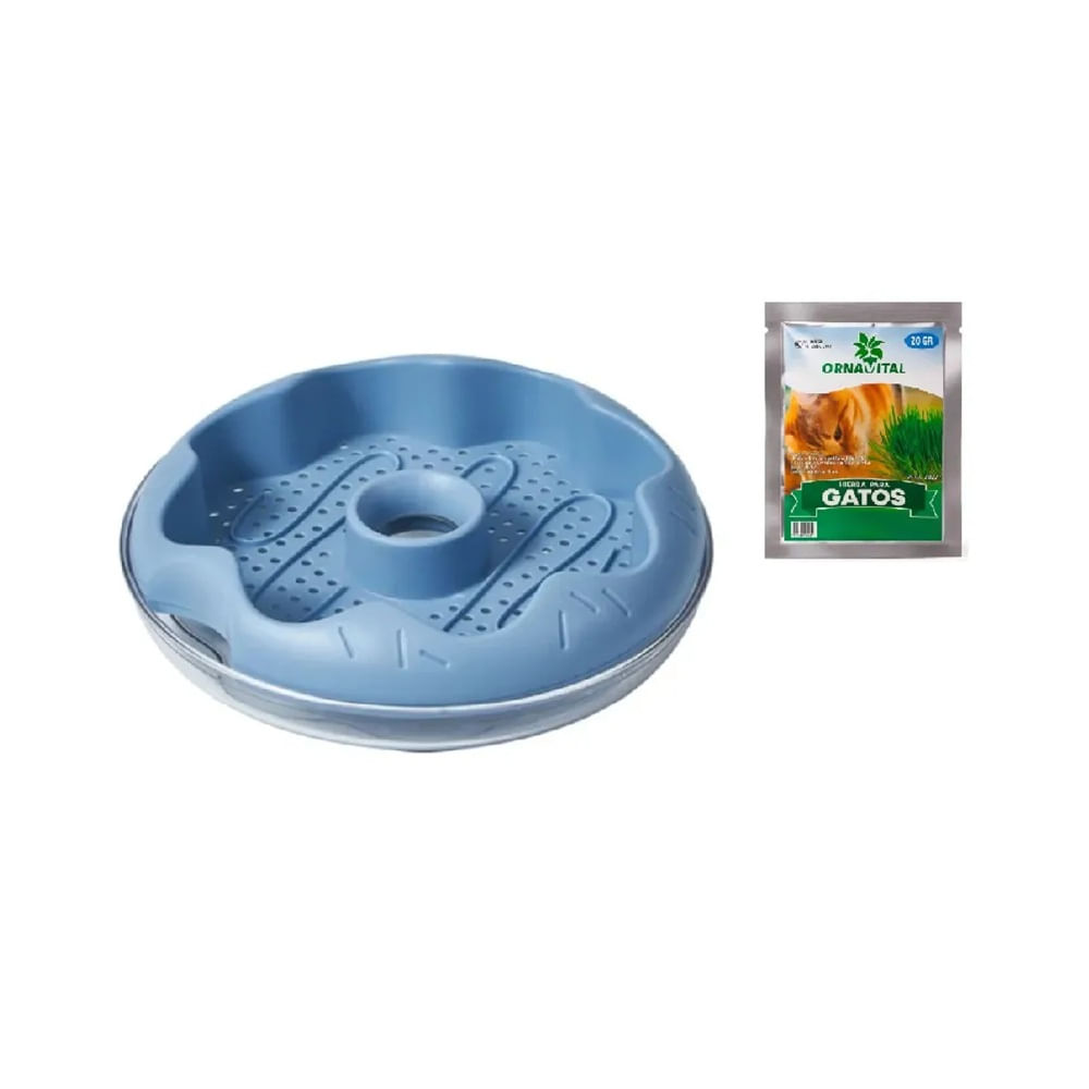 Bandeja Plato Para Cultivo De Hierba Gatera Color Celeste con Semillas