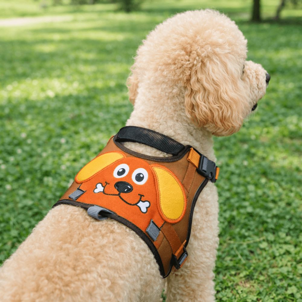 DoggySmile Arnes Para Mascotas