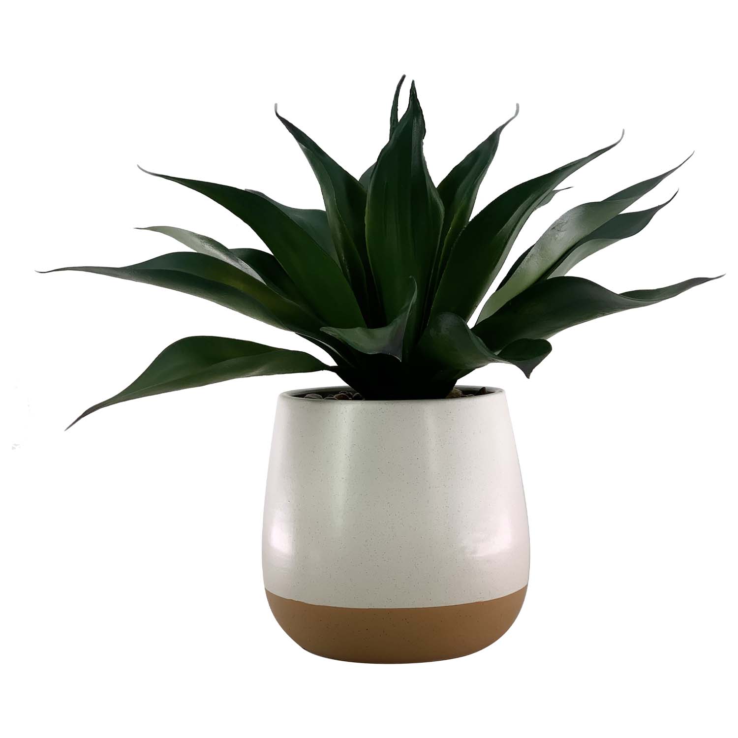 Planta Aloe 36Cm