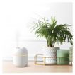 imageUrl_6