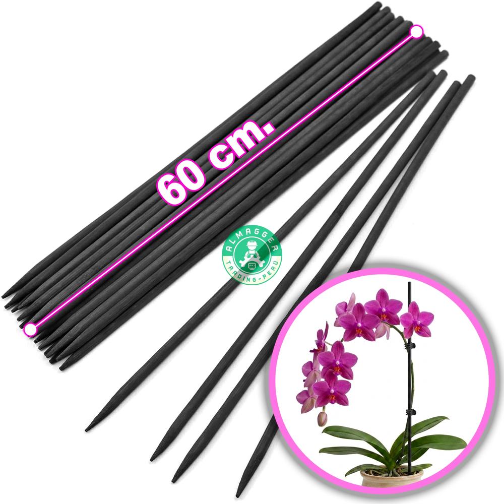 Tutor De Bambú 60cm. - x 24 Und. - Plantas - Orquídeas