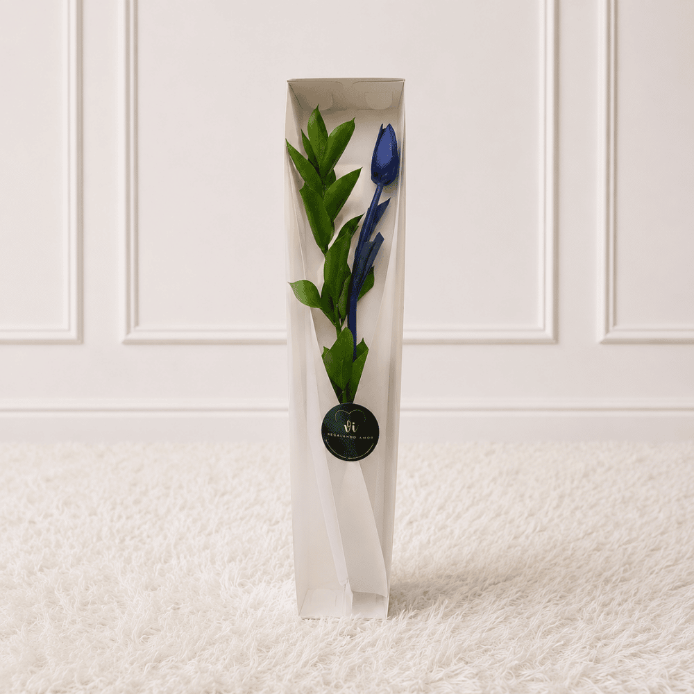 Caja de 1 Tulipán Azul - Flores azules - Arreglo floral