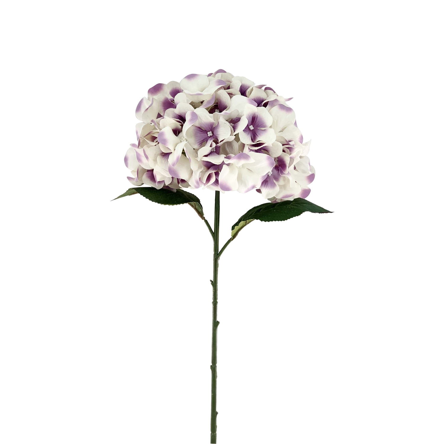 Hortensia Morada 56Cm