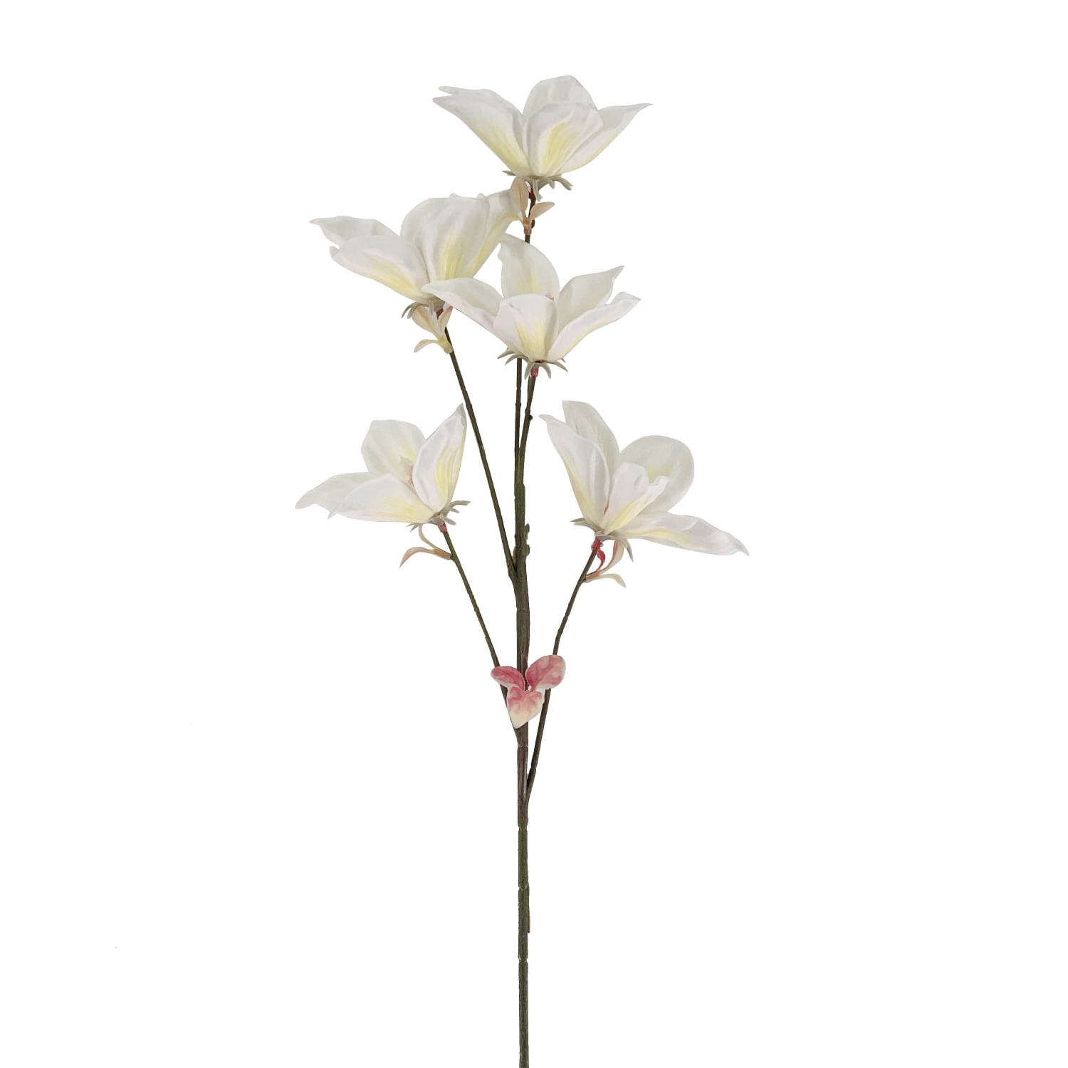 Tulipan Blanco 77Cm
