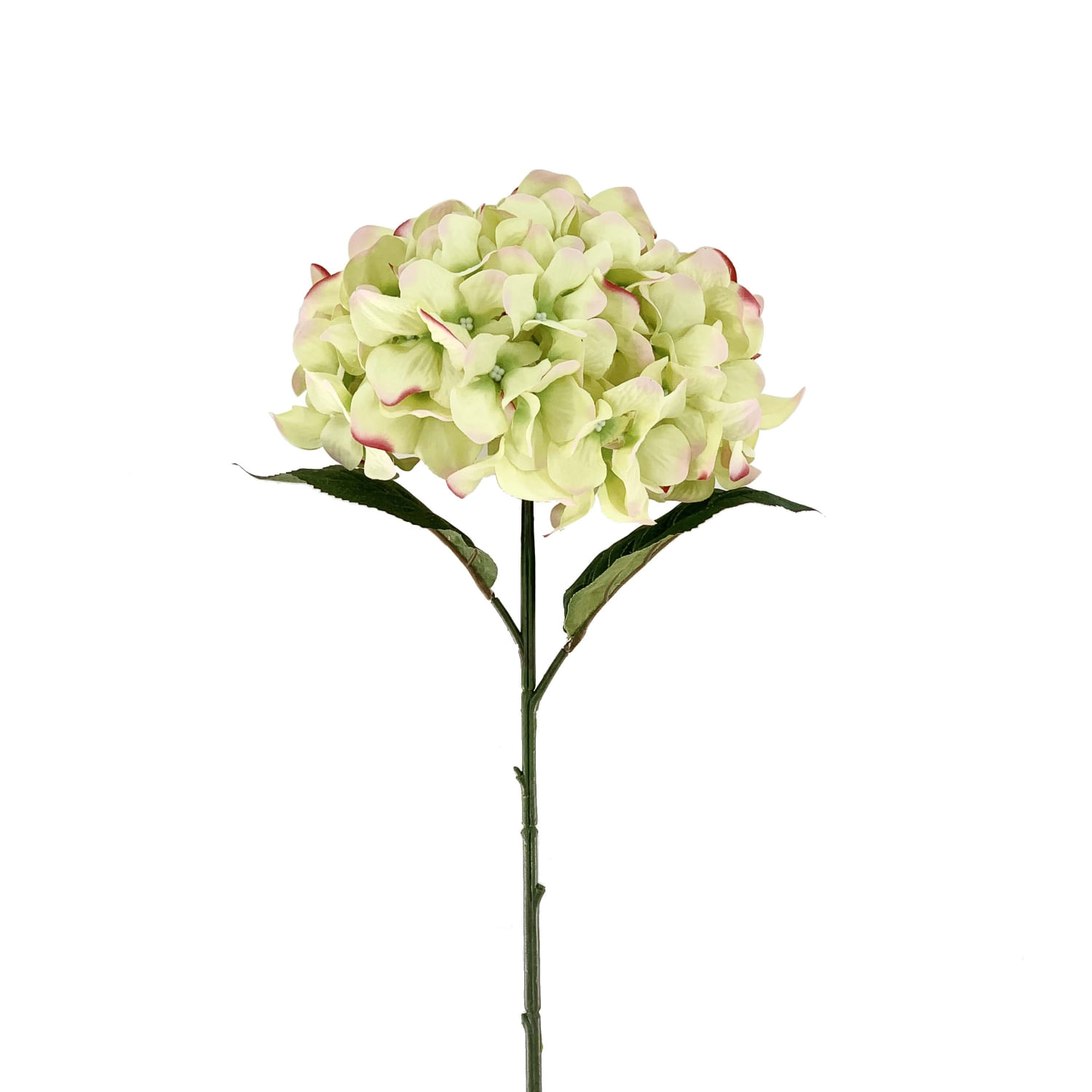 Hortensia Amarilla 56Cm
