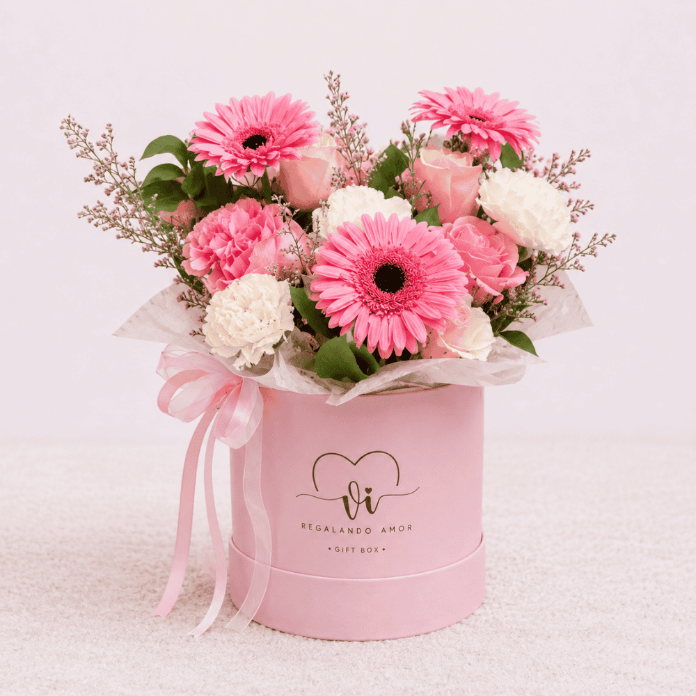 Box Seraphine - Gerberas