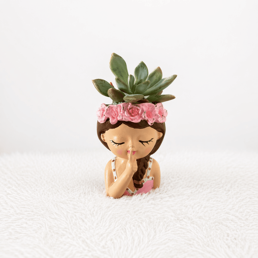 Maceta Moana - Suculenta