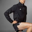 3126184