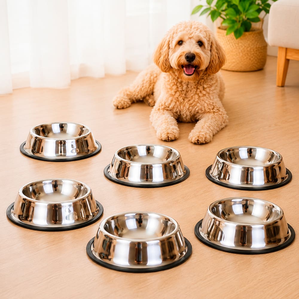 Pack 6 Platos Para Perro 22cm - Comedero Mascotas