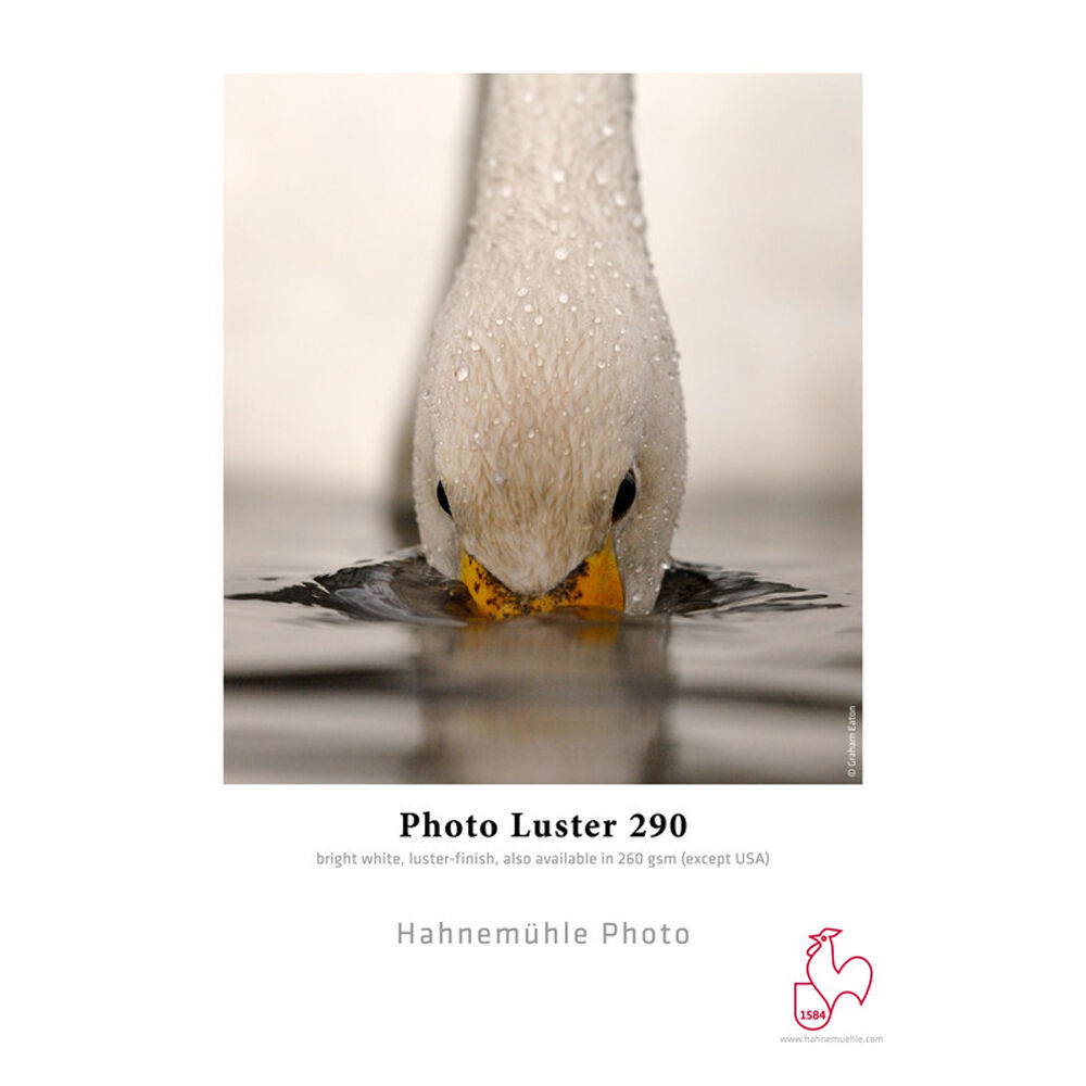 Hahnemuhle Papel Fotográfico Luster 290 Inkjet Roll 24"" x 100' - Alta Opacidad y Resisten