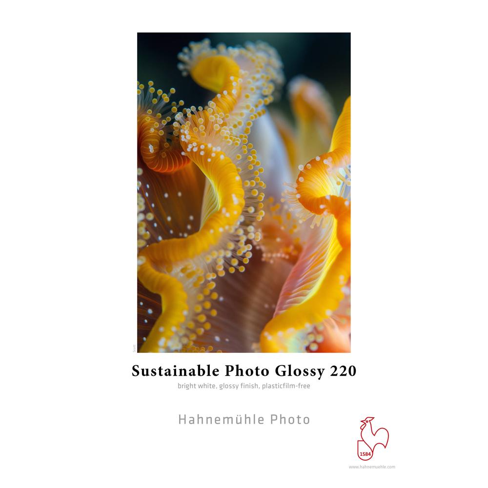 Hahnemuhle Papel Fotográfico Glossy 220 - 24"" x 100' Roll, 100% Celulosa Alpha, 220 gsm,