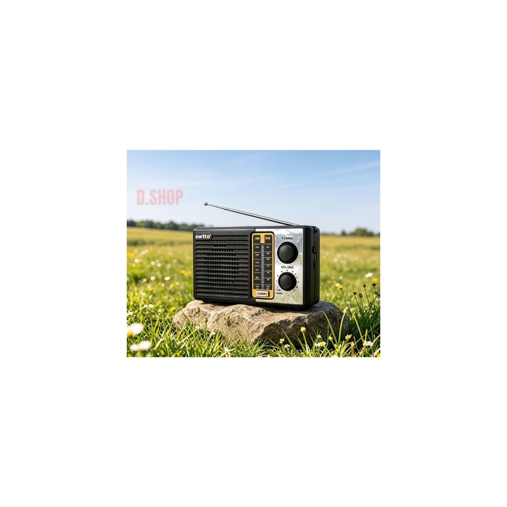 Radio Portátil Ewtto ET-F10 De 2Bands