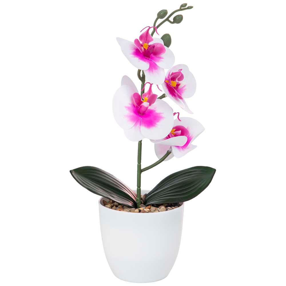 Orquídea Surtida DECO HOME Bouquet