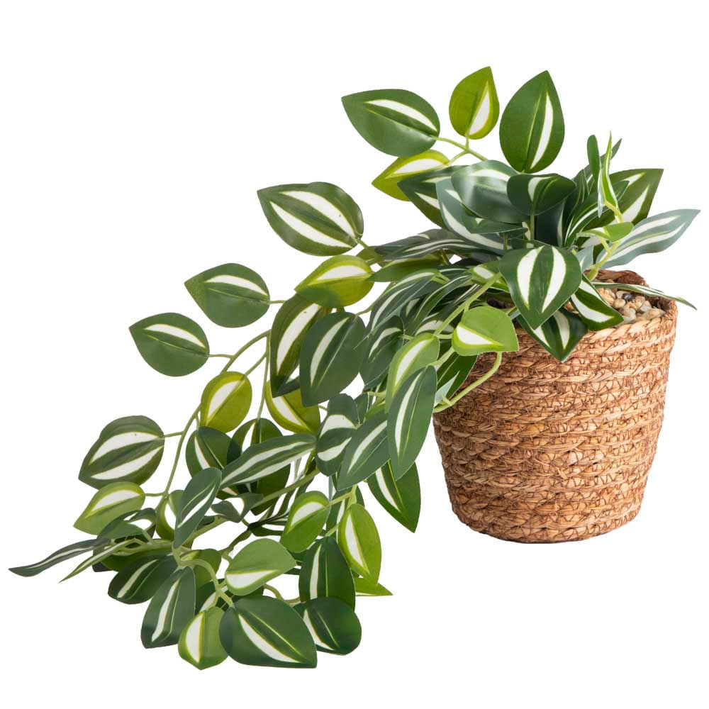 Maceta DECO HOME con Boa C&L