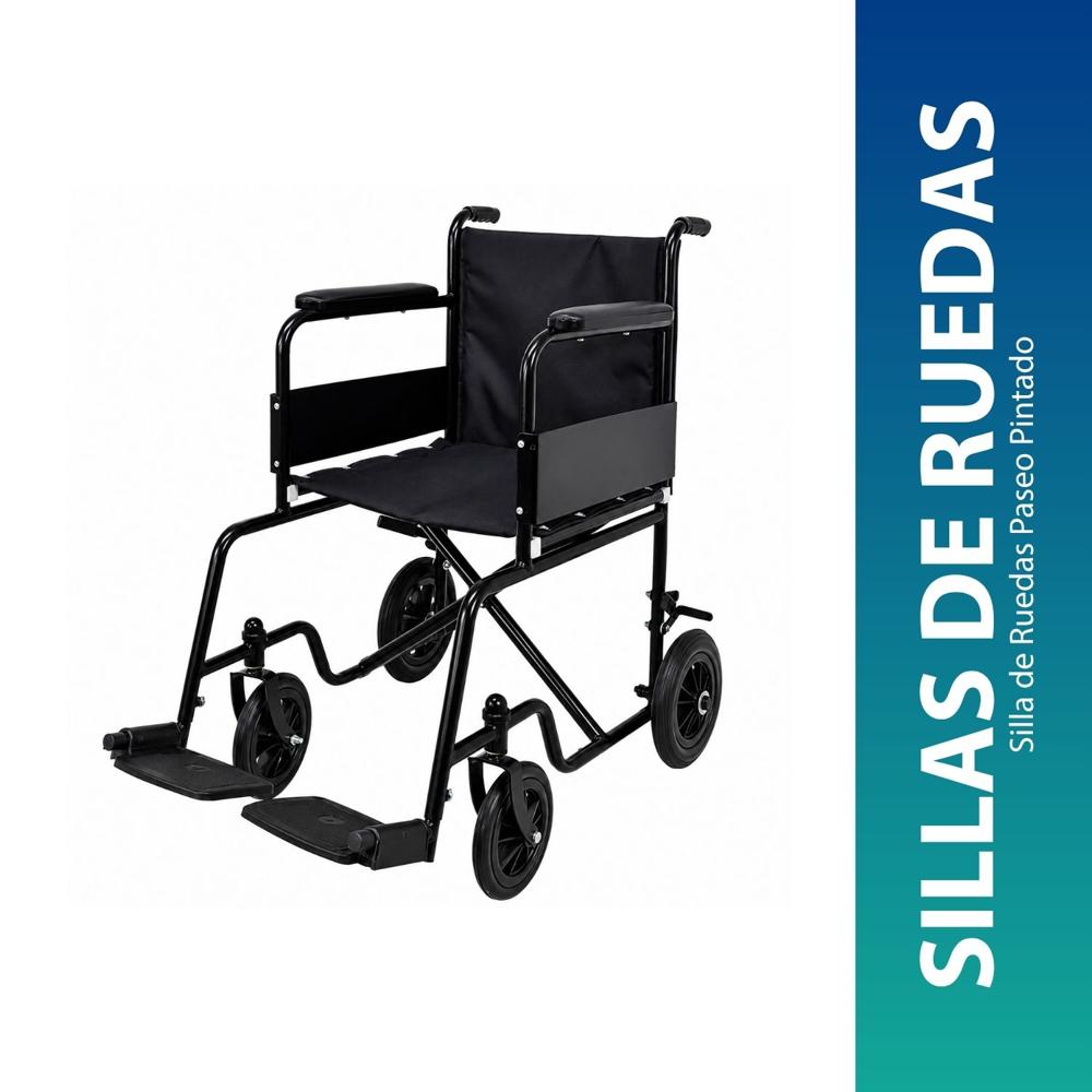 Silla de Ruedas Paseo Pintado