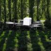 imageUrl_4
