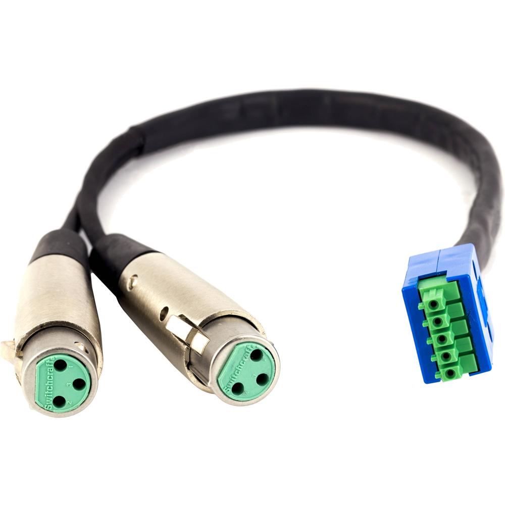 Lectrosonics Adaptador de Cable XLR3 Femenino a Phoenix de 5 Pines - 1.4 ft