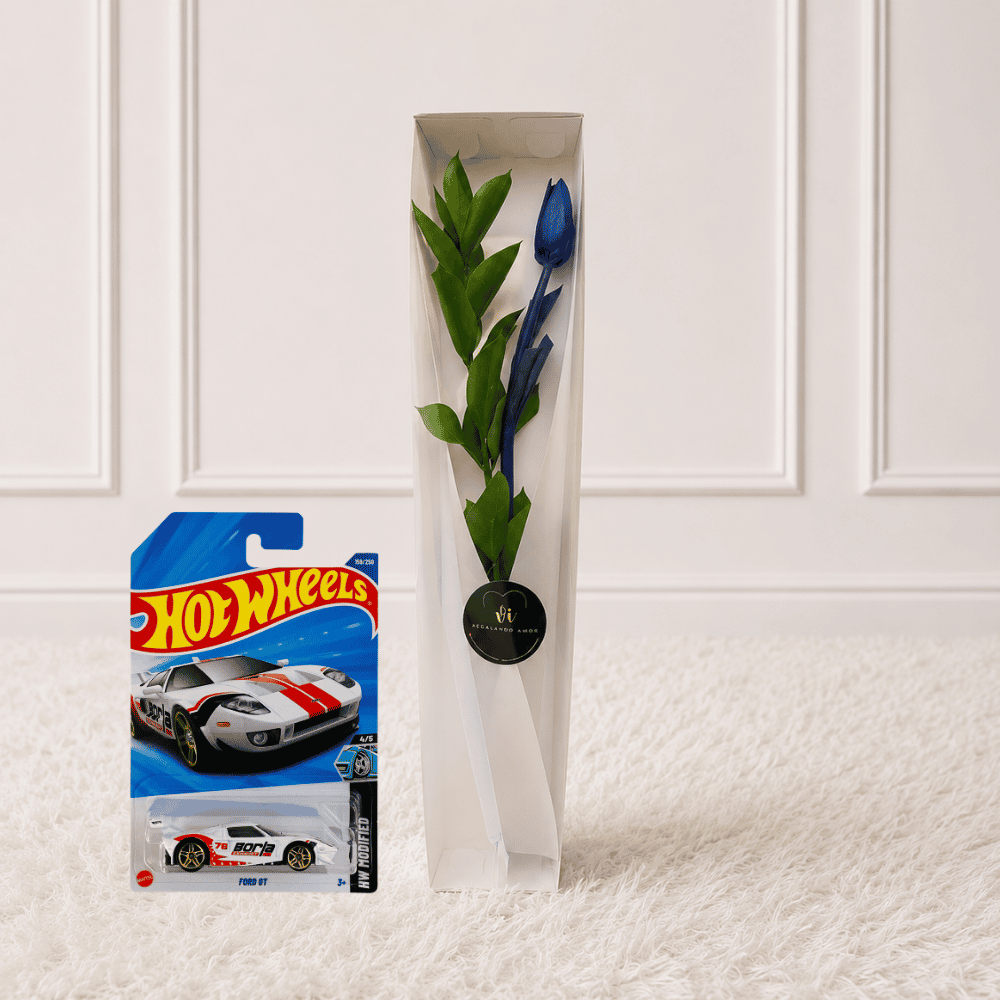 caja de 1 tulipan azul - Hotwells