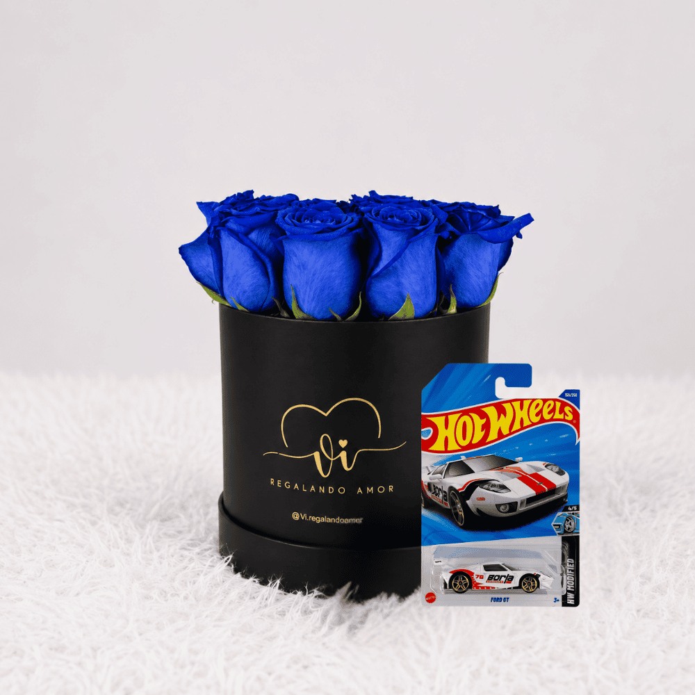 Box clasico rosas azules - Hotwells