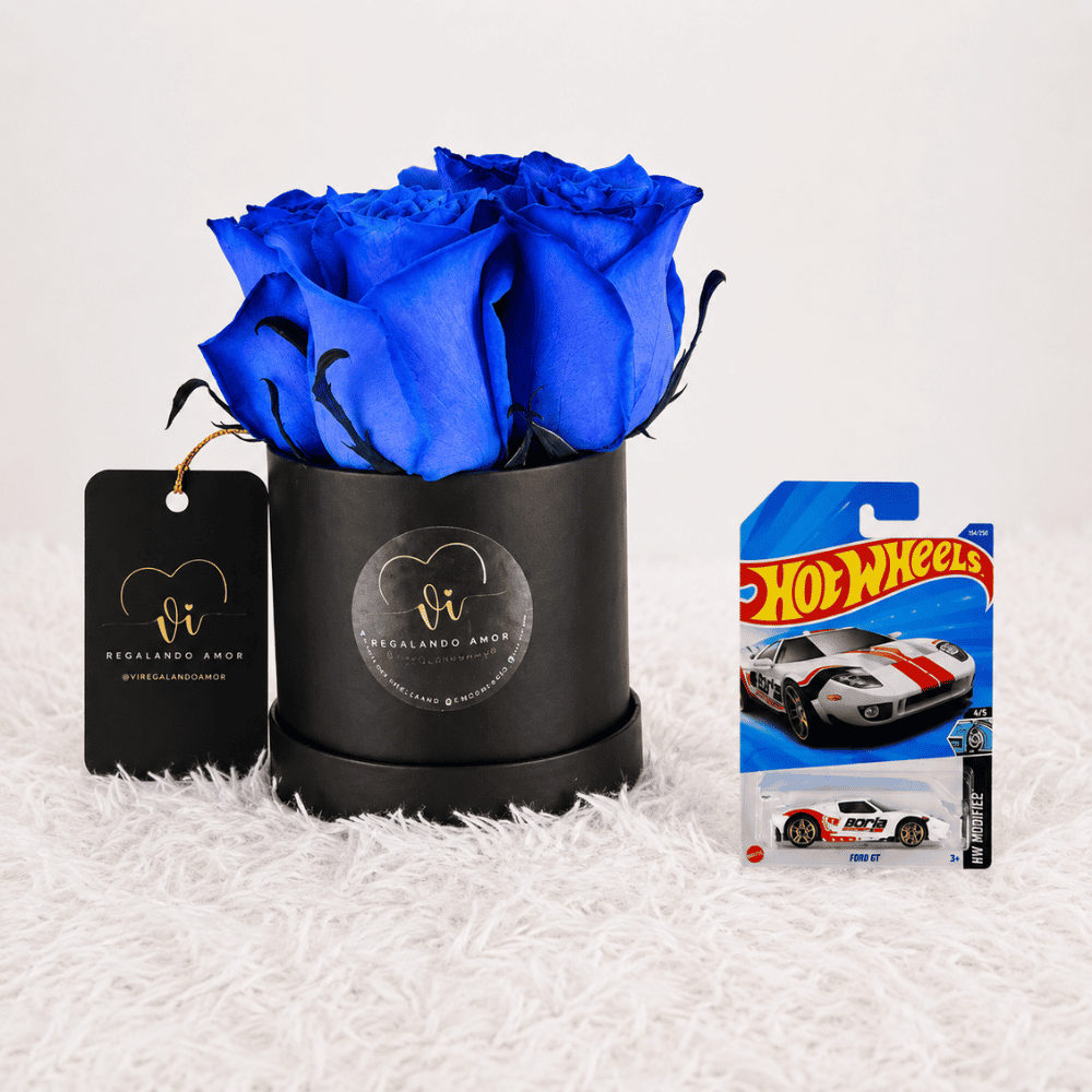 Mini box de rosas azules - Hotwells