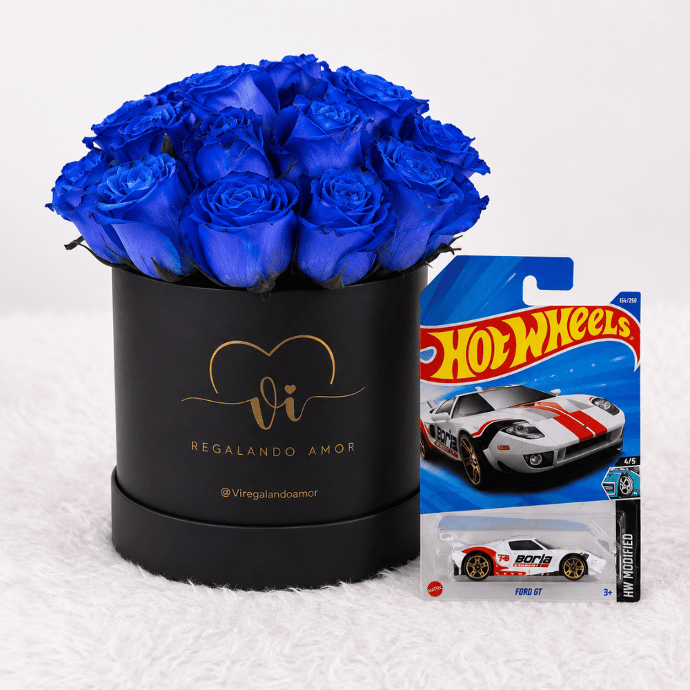 Box de 20 rosas azules - Hotwells