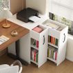 imageUrl_1