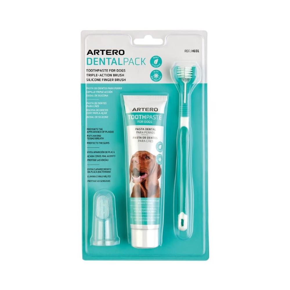 Pack Dental Smile