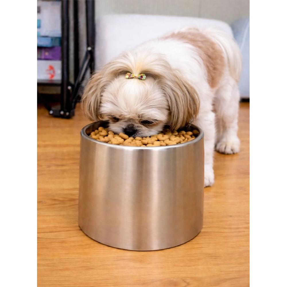 Plato Acero Alto para Mascotas