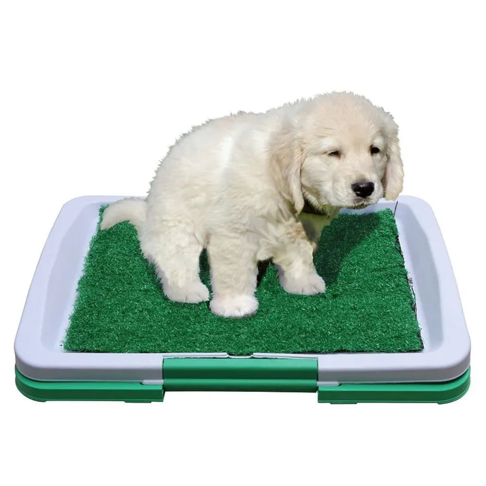 Bandeja Entrenador para Mascotas Lavable Portatil Perros Gatos Multicolor