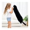 imageUrl_7