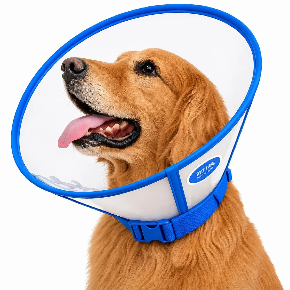 Collar Isabelino Cónico De Plástico Durable Para Perros Y Gatos Talla S Color Azul