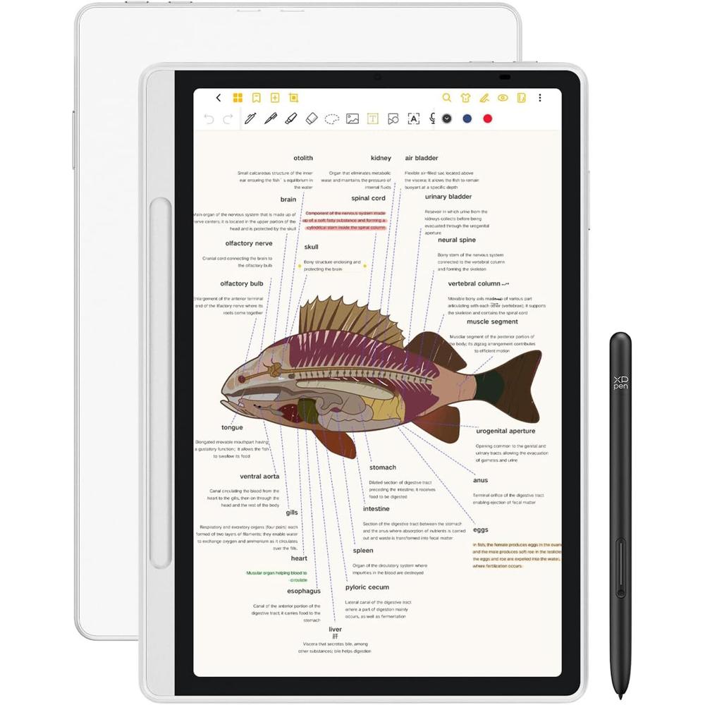 XPPen Magic Note Pad 10.95"" - Pantalla Pen 1920 x 1200, MediaTek MT8781, 6GB RAM, 128GB Al