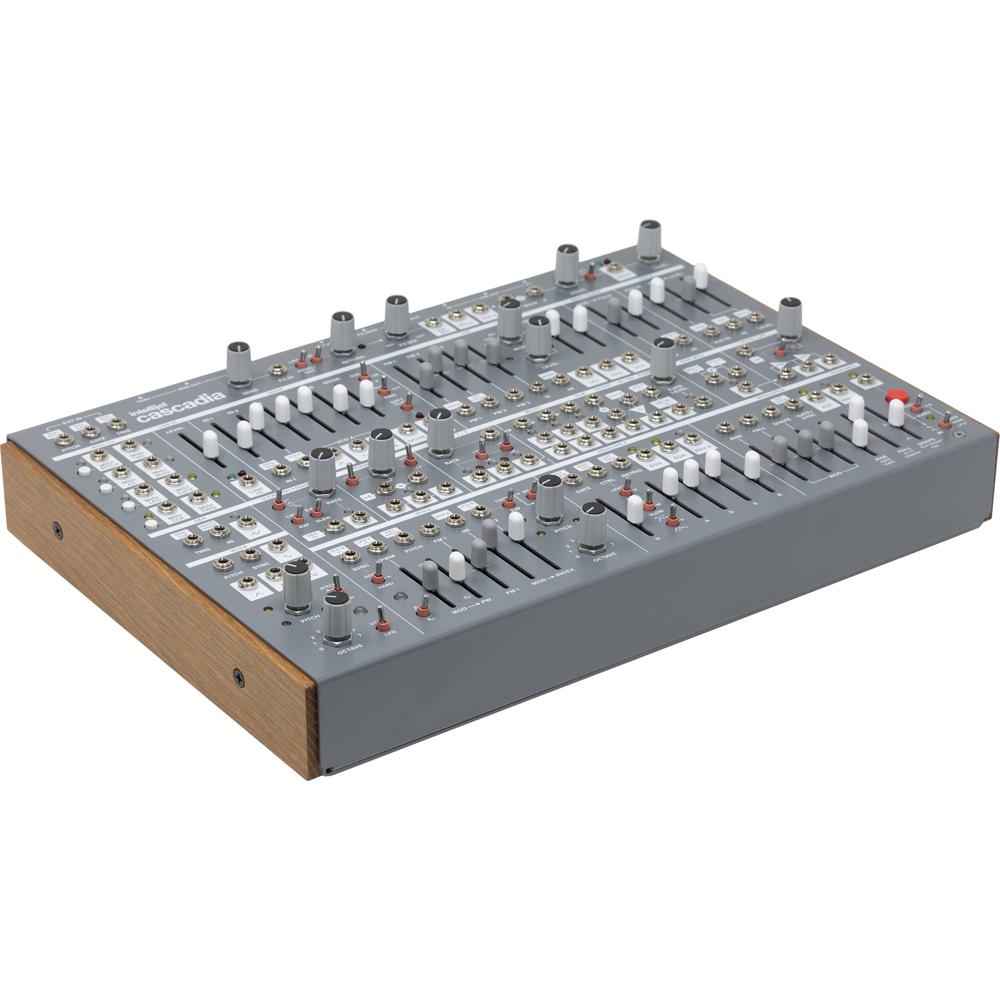 intellijel Cascadia Sintetizador Semi-Modular Eurorack (Gris Oscuro) - 2 VCOs, Filtro Mult