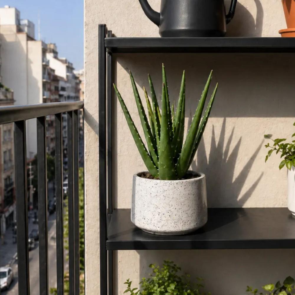 Macetero blanco con textura porosa - 13 cm alto - Cádiz