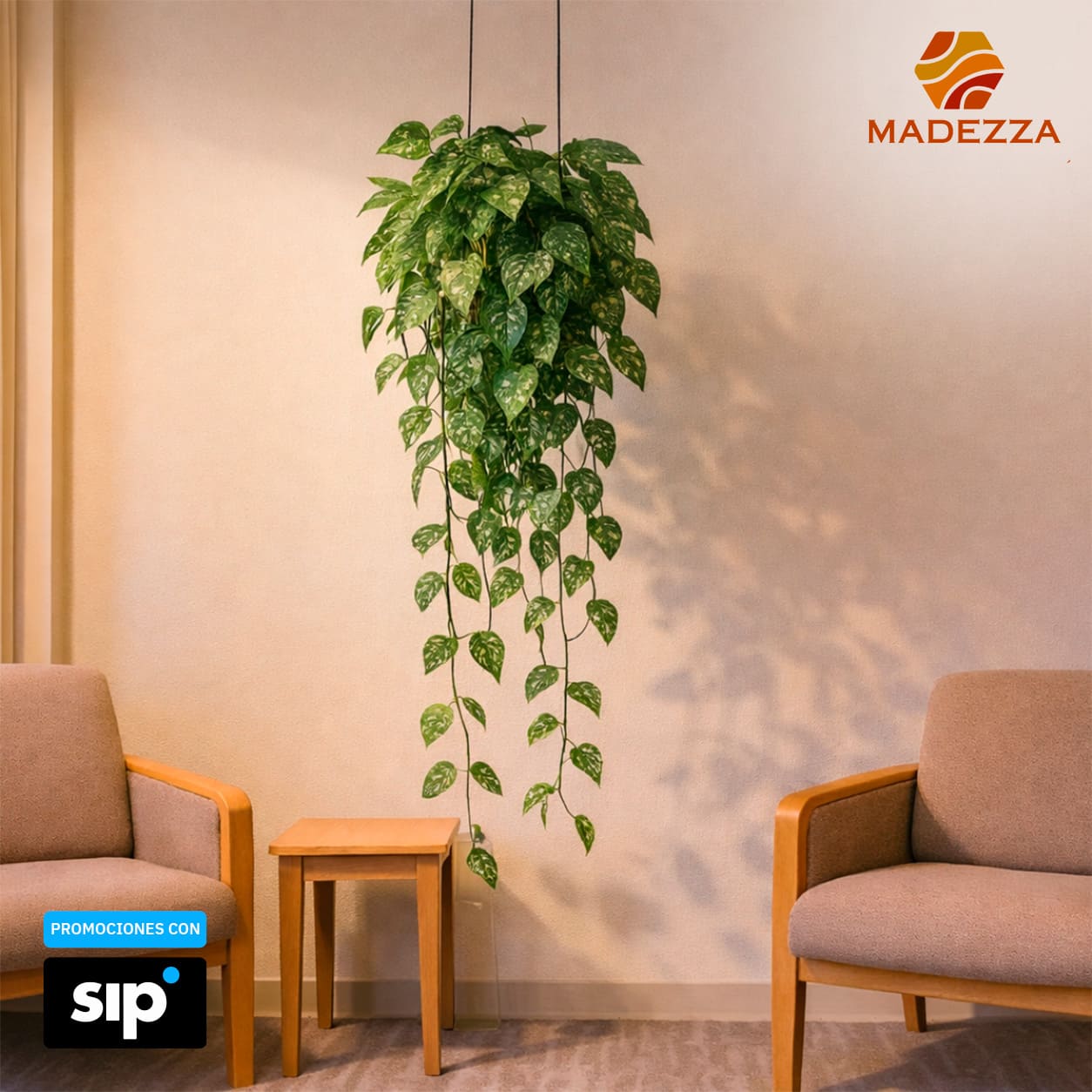 Planta Colgante Verde Con Blanco