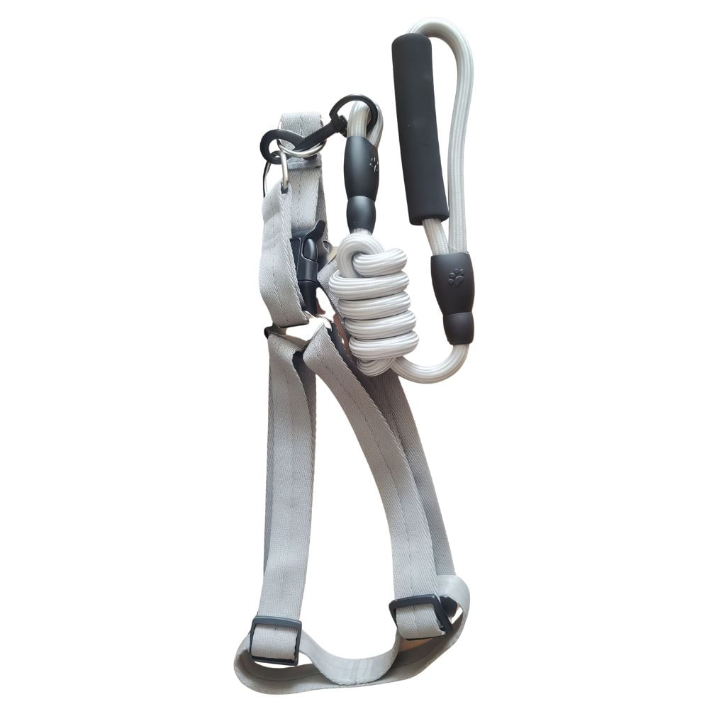 Correa Con Pechera Trenzada Gris