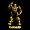 imageUrl_3