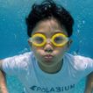 imageUrl_7