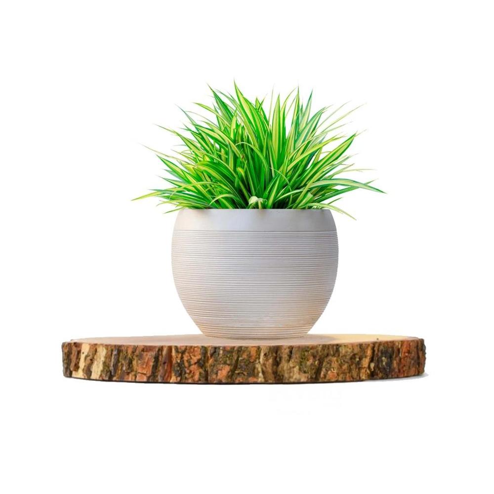 Fuente Circular de Madera para Decoracion Hogar en Centro de Mesa Y Regalo Sticker