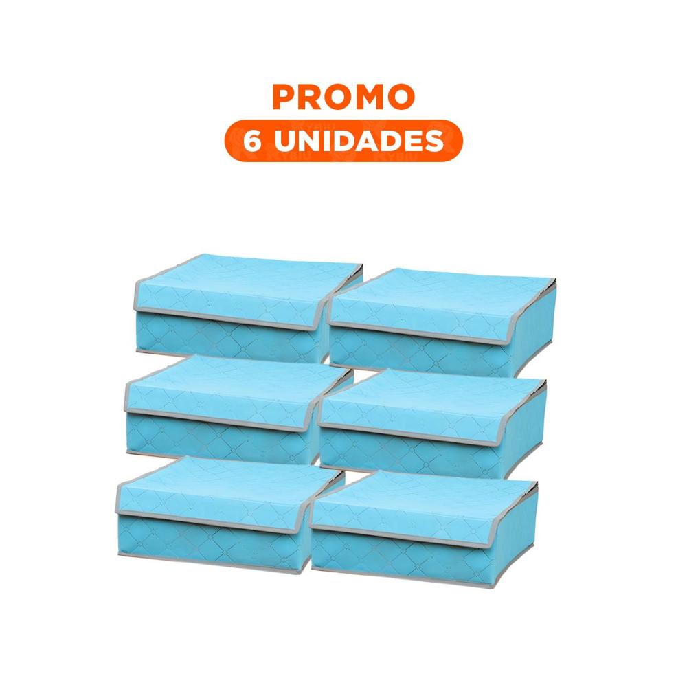 Pack6 Modulo Organizador de Ropa Interior 24 Divisiones Celeste Uso Diario Max Y Regalo Sticker