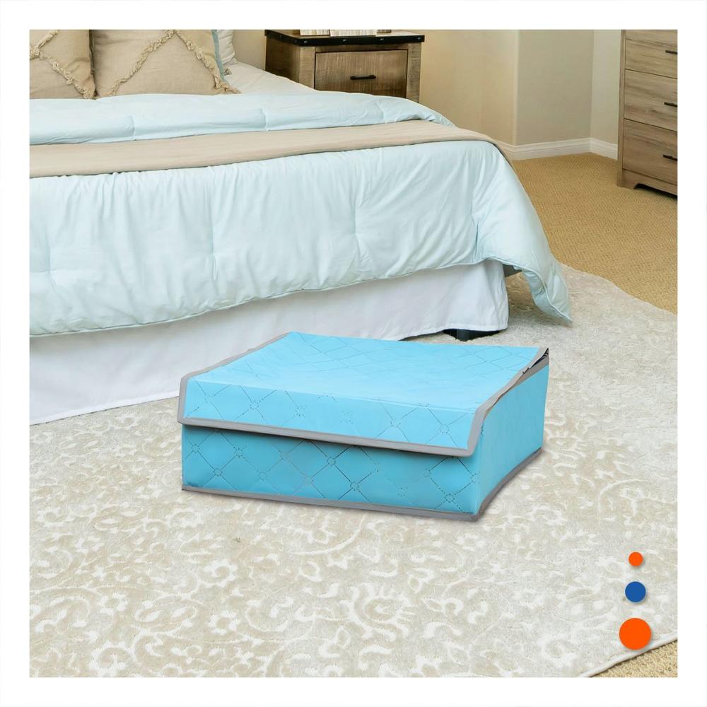 Organizador de Ropa Interior 24 Divisiones con Tapa Celeste Uso Diario Plus Y Notas