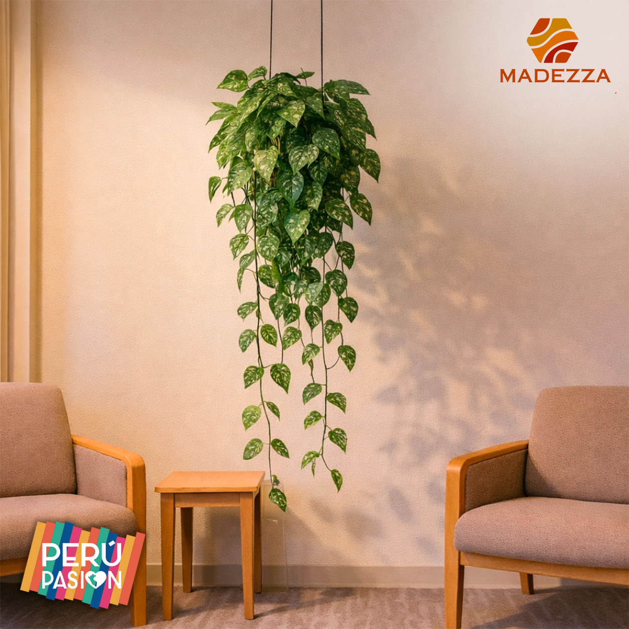 Planta Colgante Verde Con Blanco