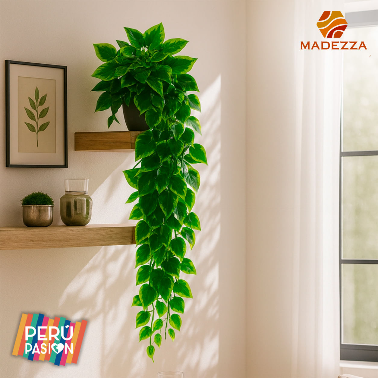 Planta Colgante Verde