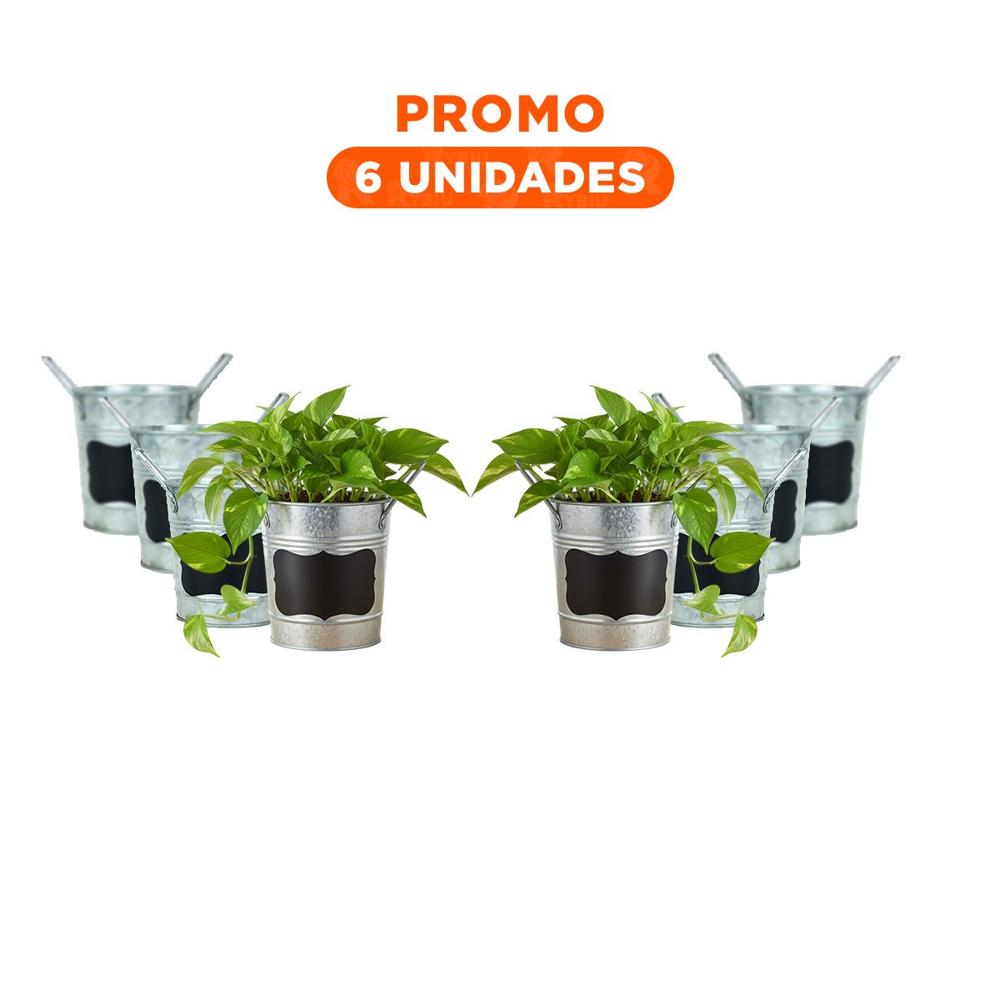 Pack6 Cubo Decorativo de Metal con Doble Asa 10x8.5cm Plateado Uso Decorativo Y Regalo Sticker
