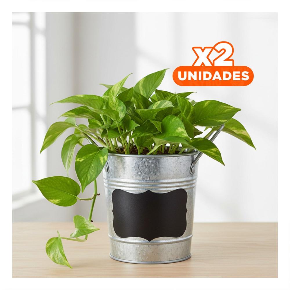Pack2 Portamaceta Cubo de Metal con Doble Asa 10x8.5cm Plateado Rectangular