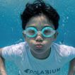 imageUrl_7