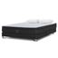 Box Tarima Tempo King + 2 Almohadas Memory Max