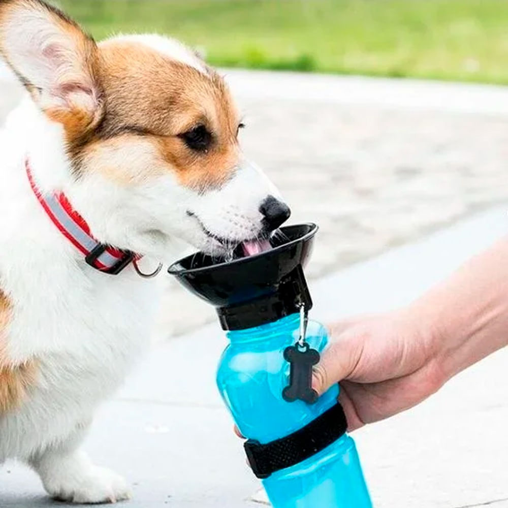 Bebedero Portátil 18oz para perro